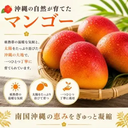 【化粧箱入り】沖縄マンゴー使用!マンゴードリンク 500ml×2本セット【1742770】