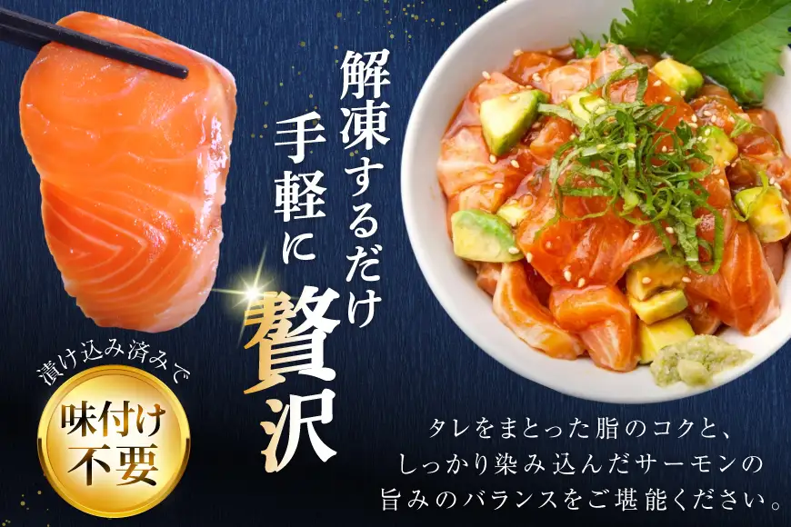 サーモン FIVE STAR ブランド サーモン漬け 10パック セット 