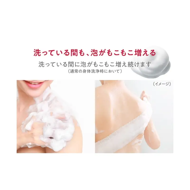 ボディソープ hadakara ( ハダカラ ) 泡タイプ 詰め替え 440ml×4袋 ボディーソープ 泡ボディソープ 泡 日用品 消耗品 バス用品 大容量 いい 匂い ボディ 保湿 LION ライオン 泡石鹸 石鹸 兵庫 兵庫県 小野市