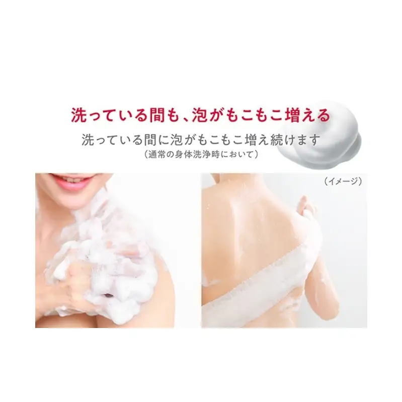 ボディソープ hadakara ( ハダカラ ) 泡タイプ 詰め替え 440ml×16袋 ボディーソープ 泡ボディソープ 泡 日用品 消耗品 バス用品 大容量 いい 匂い ボディ 保湿 LION ライオン 泡石鹸 石鹸 兵庫 兵庫県 小野市