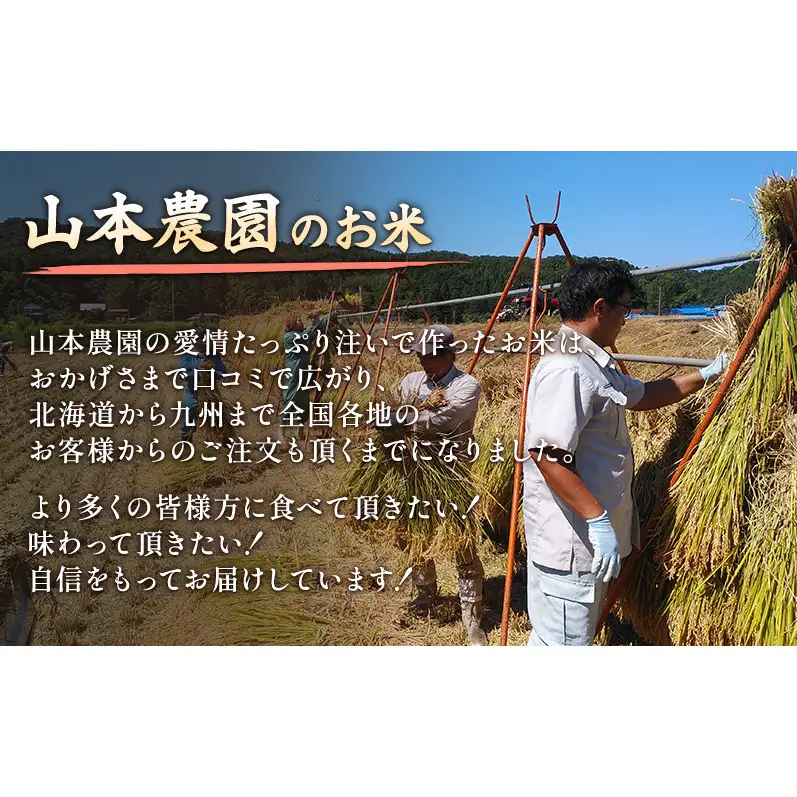 【先行予約】特別栽培米 コシヒカリ 2kg 山本農園 コシヒカリ