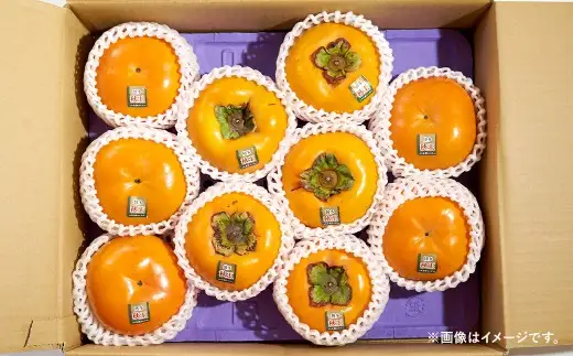 福岡県産 柿 秋王 約1.5kg （4～6玉） かき カキ フルーツ 果物 くだもの 冷蔵 福岡県 久山町 【2026年10月下旬-11月下旬まで順次発送予定】