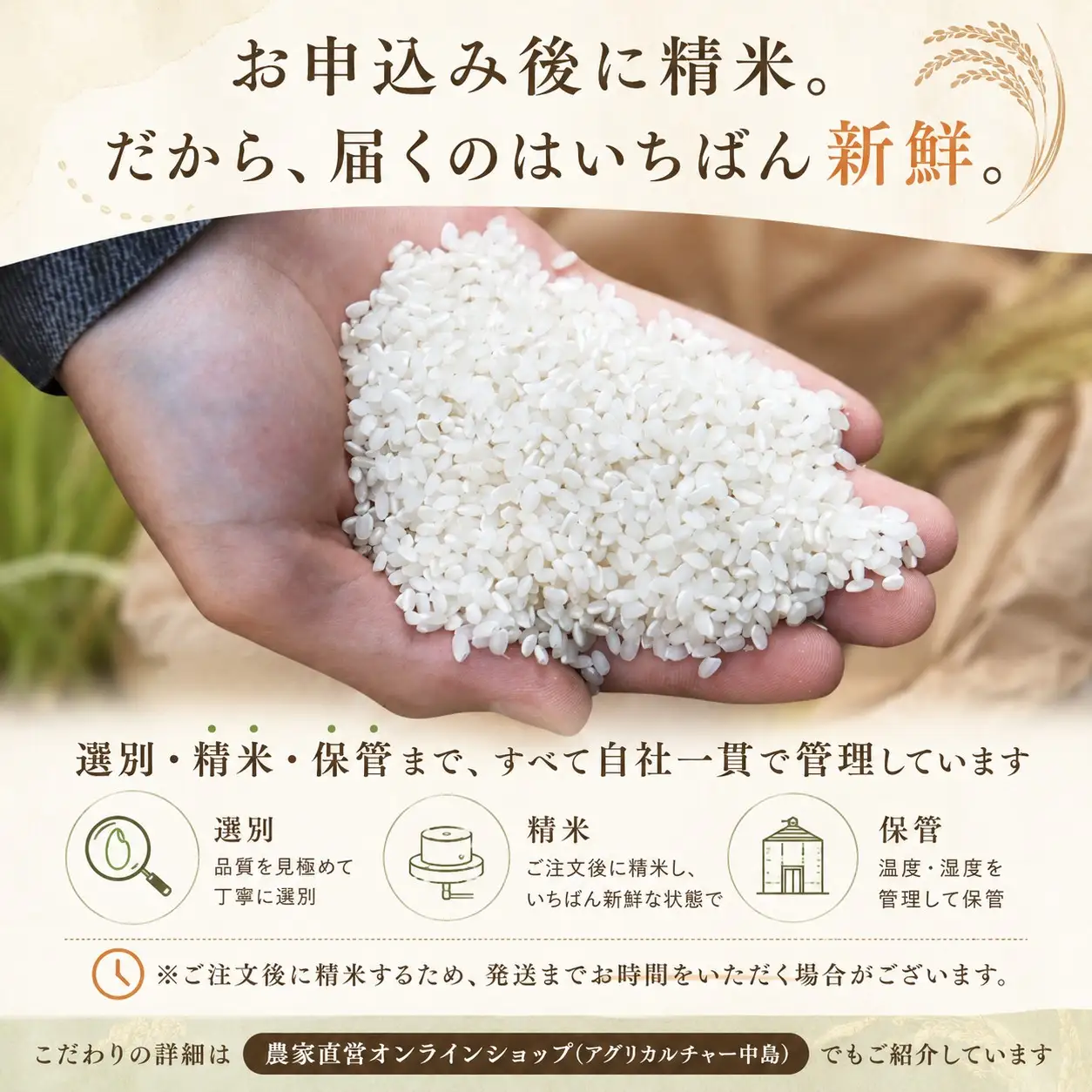 【新米予約】 コシヒカリ 精米 10kg 先行予約 令和8年 新米 米