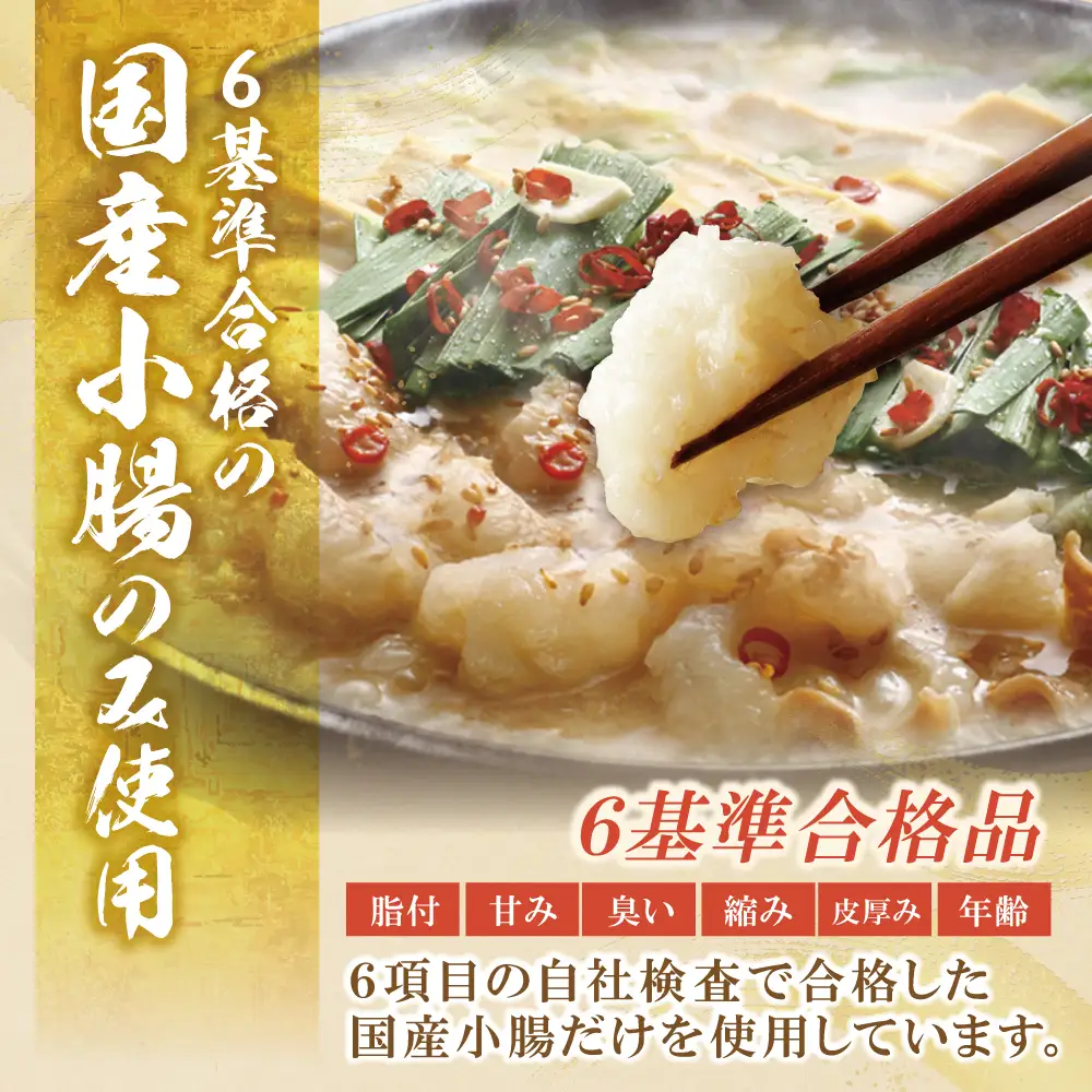 Z61-10 博多若杉 【訳あり】牛もつ鍋(2人前×10セット)食べ比べ 醤油・あごだし醤油 もつ鍋