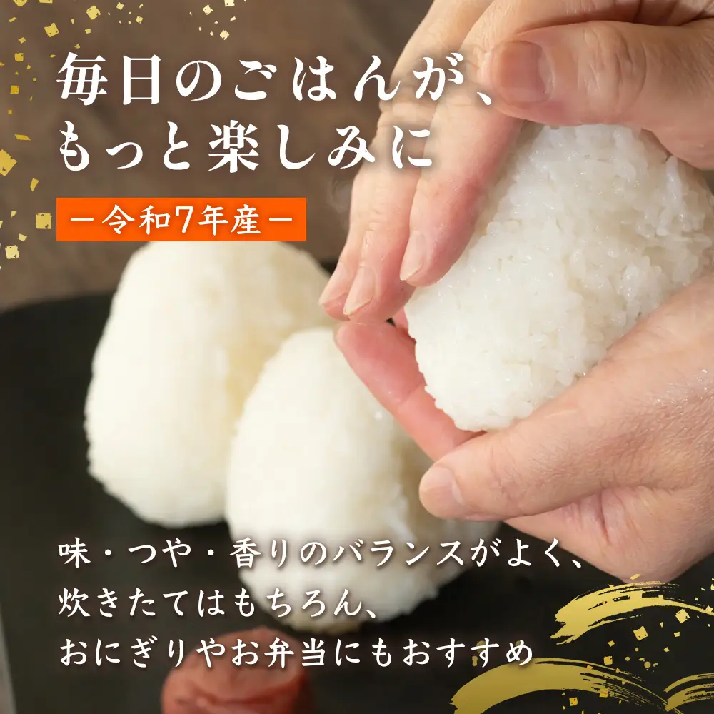 お米 令和7年産 熊本県 多良木町産 森のくまさん 10kg 【 米 おこめ 熊本県産 球磨産 うるち米 おいしいご飯 ライス 美味しいお米 精米 白米 美味しいお米 新米 】053-0673