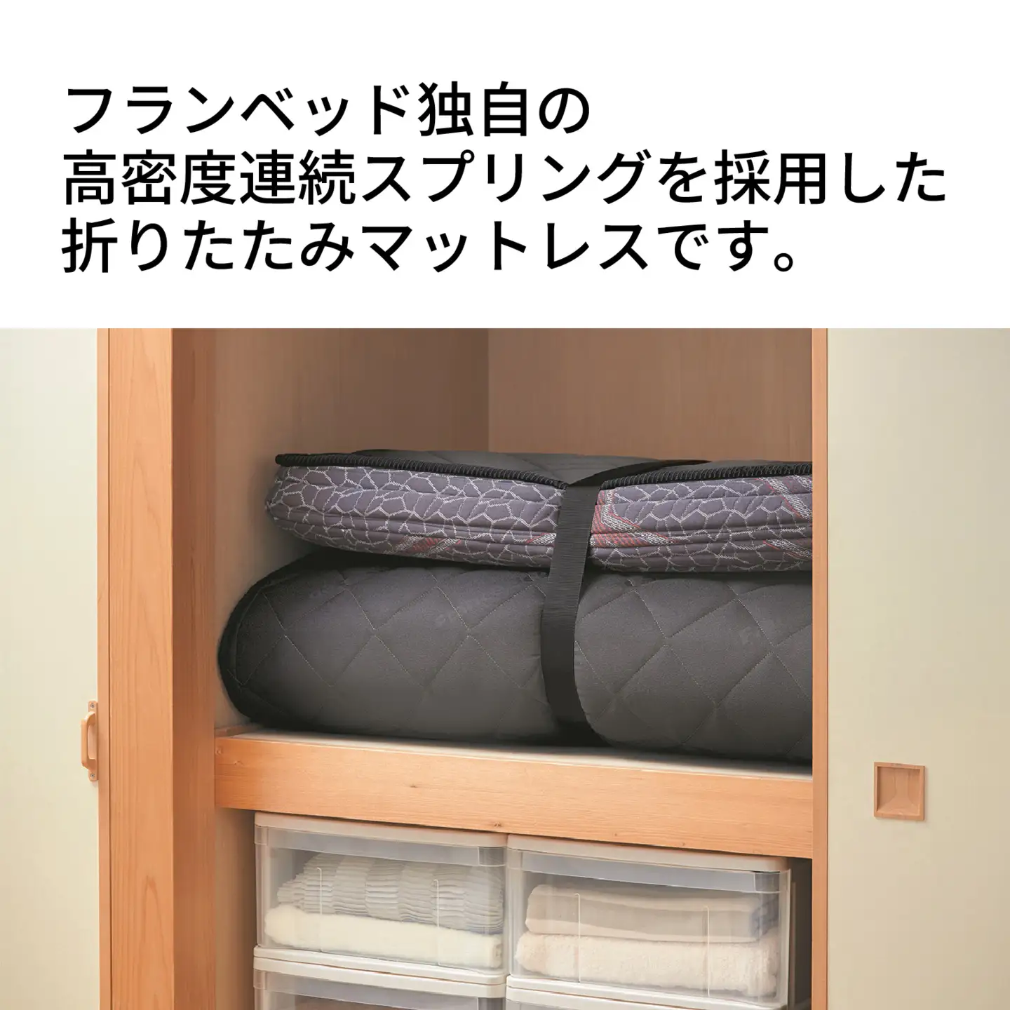 【France Bed/フランスベッド】快眠 眠活 高密度スプリング シングルマットレス［FD-100］ S サイズ シングル　(97×195×11cm) 約12kg
