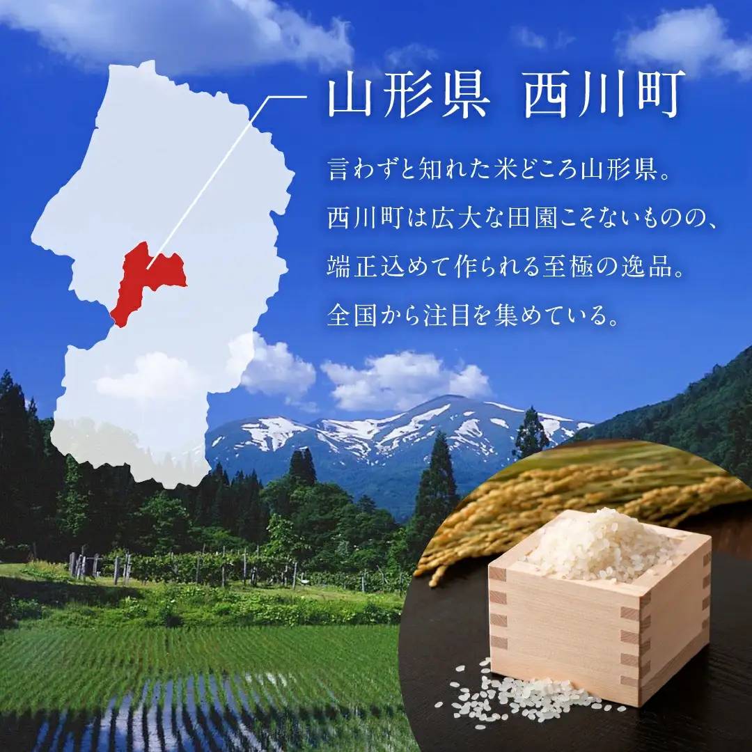 FYN2-426 【9月前半発送】令和7年度産 山形県 西川町産 無洗米 はえぬき 5kg 精米 白米 米 お米 ブランド米 ごはん ご飯 節水 時短 月山