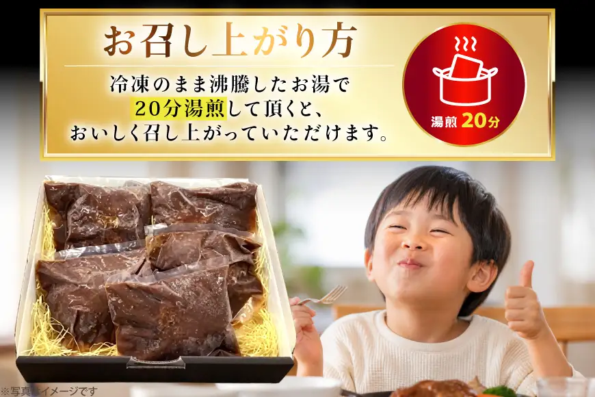 AJ638 デミグラスハンバーグ290g 5パック 