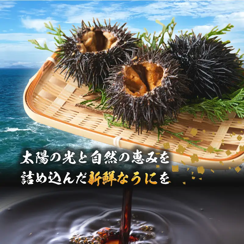 海魚のうにめし 12箱 ／ うにめし【A193】