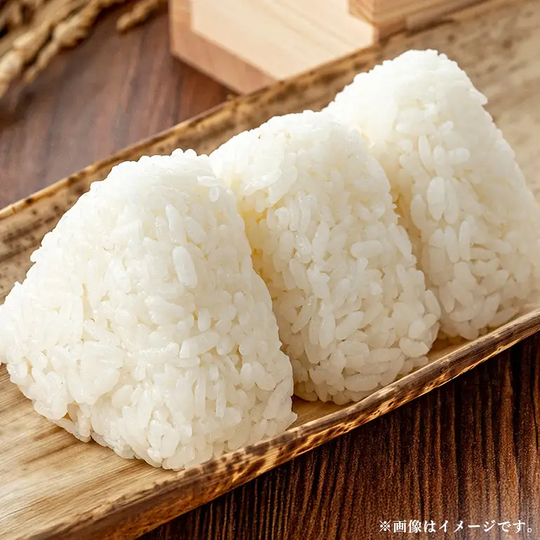 【令和7年産】いのちの壱（玄米）10kg B08-006