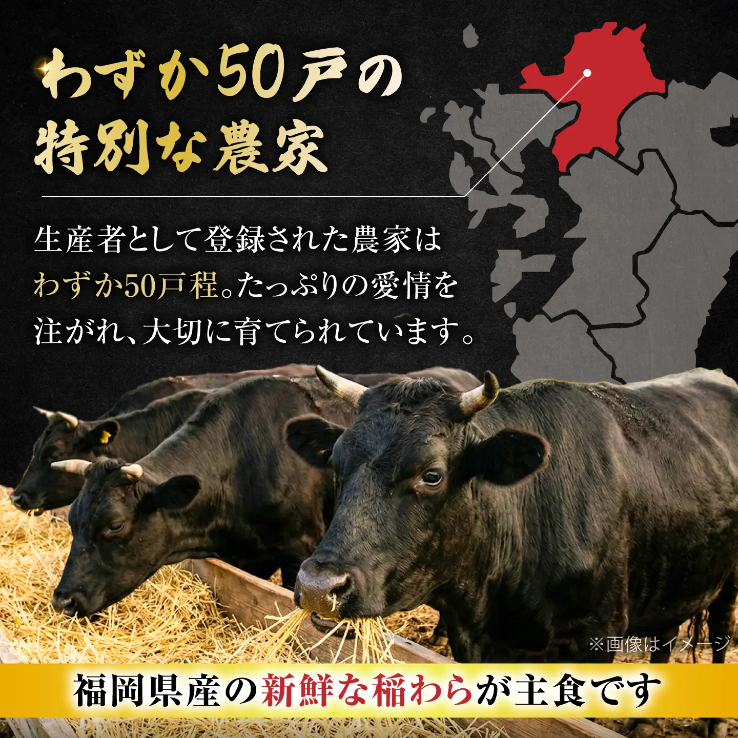 博多和牛 牛肉 焼肉 ロース 1kg（500g×2）[VFD012]
