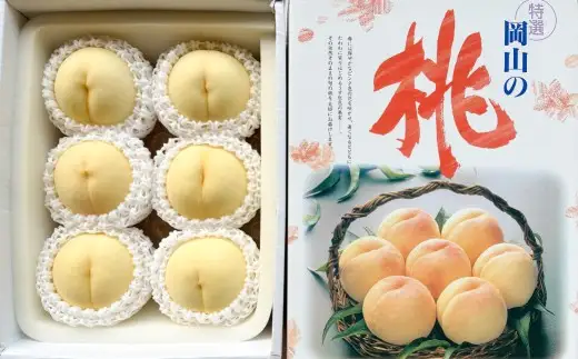 岡山の桃 白皇 5～8玉 （約2kg） 【2026年8月下旬～9月下旬発送予定】 糖度 香り 果実 くだもの 果物 フルーツ もも 桃 モモ ピーチ 国産 岡山県産 ブランド 甘み 肉質 新品種