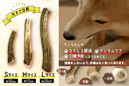犬用「鹿の角(四つ割り)」Ｓサイズ×1本[53-1622]