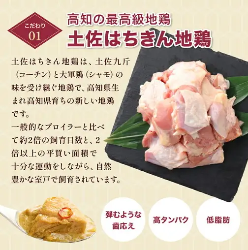 土佐はちきん地鶏 グリーンカレー 12箱 180g チキンカレー おすすめ curry かれー かれーらいす 惣菜 おかず 夕食 詰め合わせ セット レトルトカレー レトルト食品 ご当地グルメ 国産 地域限定 カレー 人気 カレー 辛口 カレーセット 高知県 室戸市