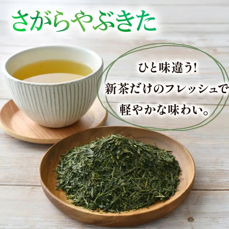 2026年度産 新茶 春風100g×5袋 静岡 県 牧之原市 相良物産
