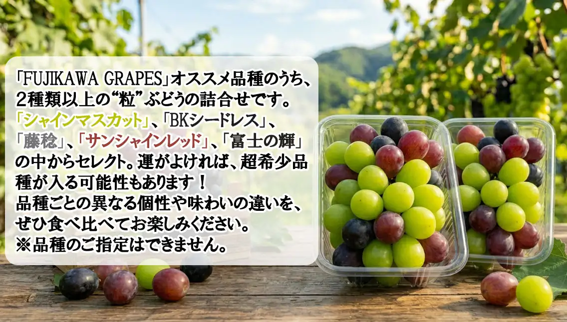 手軽に楽しむ《徳用・粒ぶどう》 【ミックス（２種以上）】 1.0kg（パック包装） 【2026年発送分 先行予約】- FUJIKAWA GRAPES -