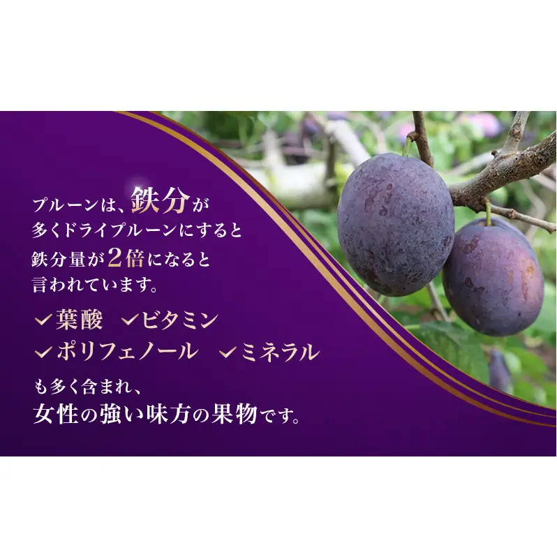ドライフルーツ プルーン 10袋入り 信州 上田