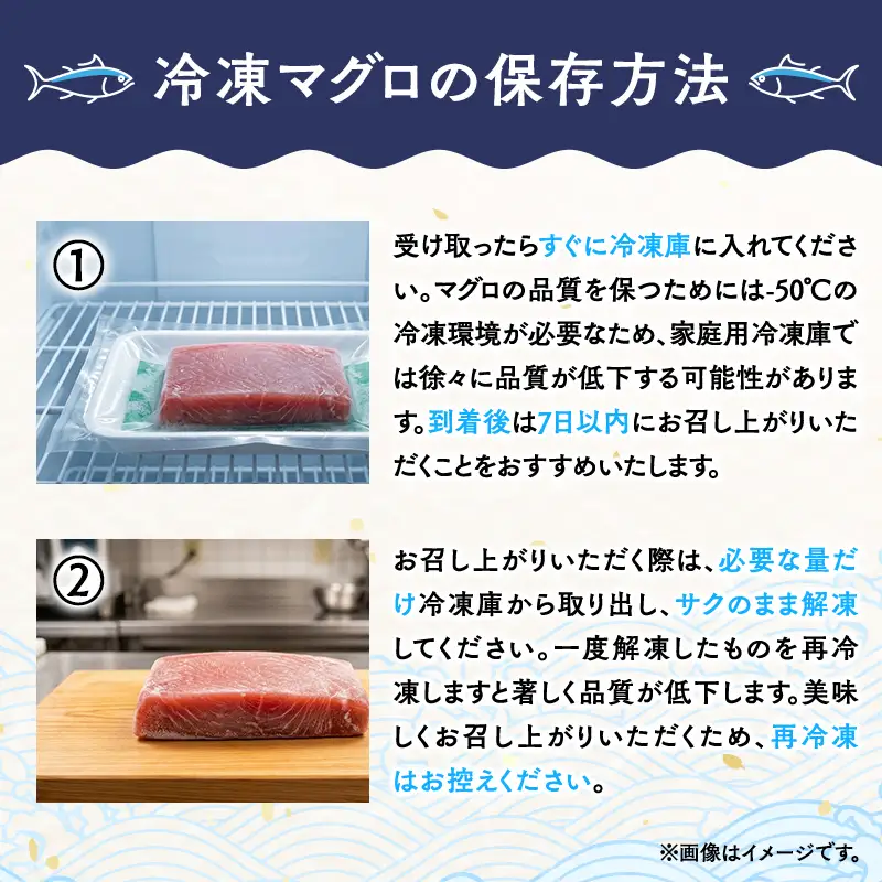 天然本マグロ 大トロ 1kg 200g×5  【fu-0015-020_12】