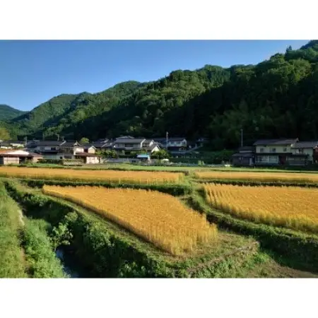 自家栽培・挽きたて小麦の天然酵母パンセット(10個)【配送不可地域：離島】【1744605】