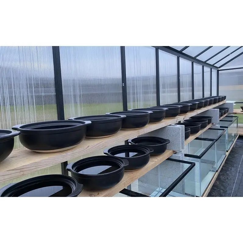 【小豆島】小豆島製塩所ENSOUが手がける完全天日塩 満月・新月セット(各40g) 塩 天日塩 完全天日塩 調味料 国産