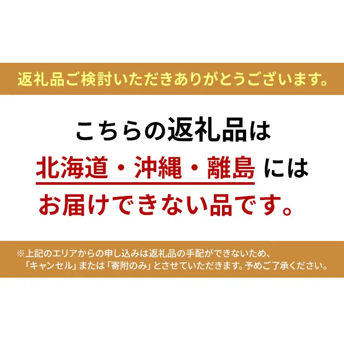 ぶどう 2026年 先行予約 シャイン マスカット 1房 約600g 岡山県産 シャインマスカット