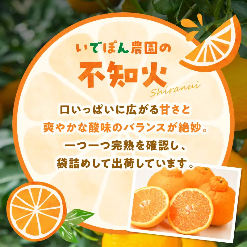 S086-009_【数量限定】井手尾さん家が丹精込めた天草の不知火とジューシーオレンジ 計約8kg