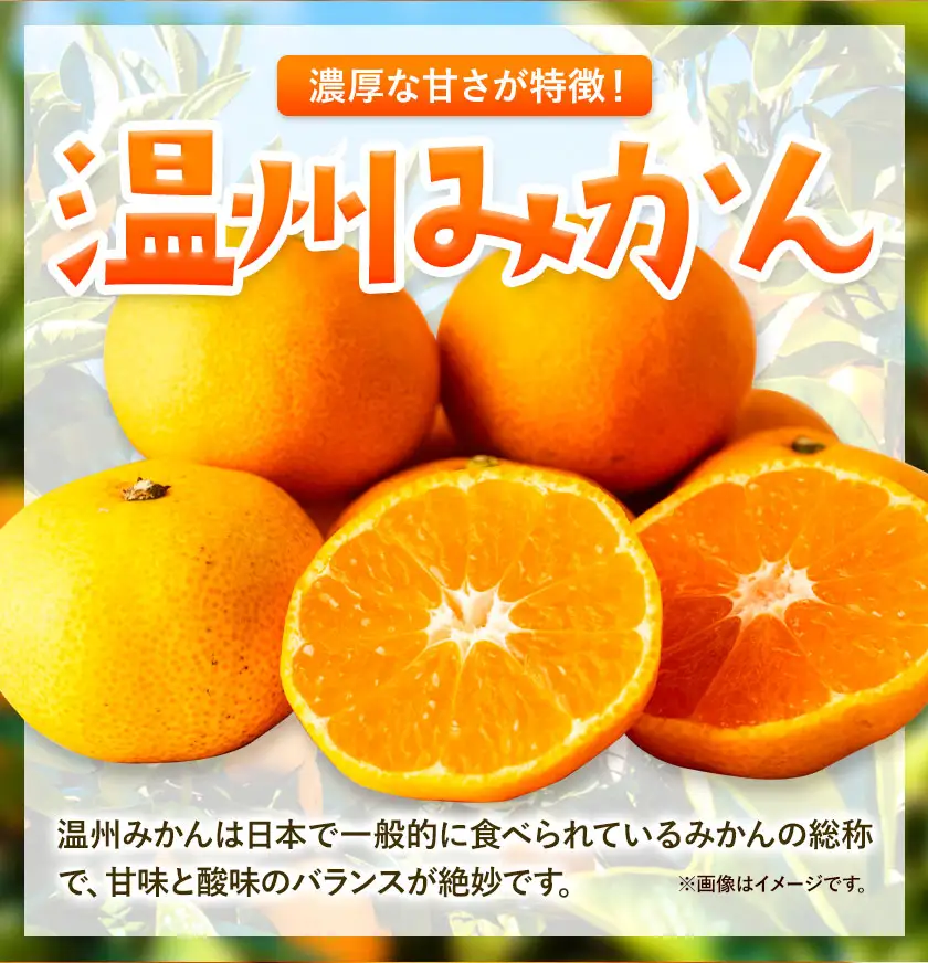 みかん 温州みかん 厳選 5kg 小玉 2Sサイズ 小玉みかん GOGO農園