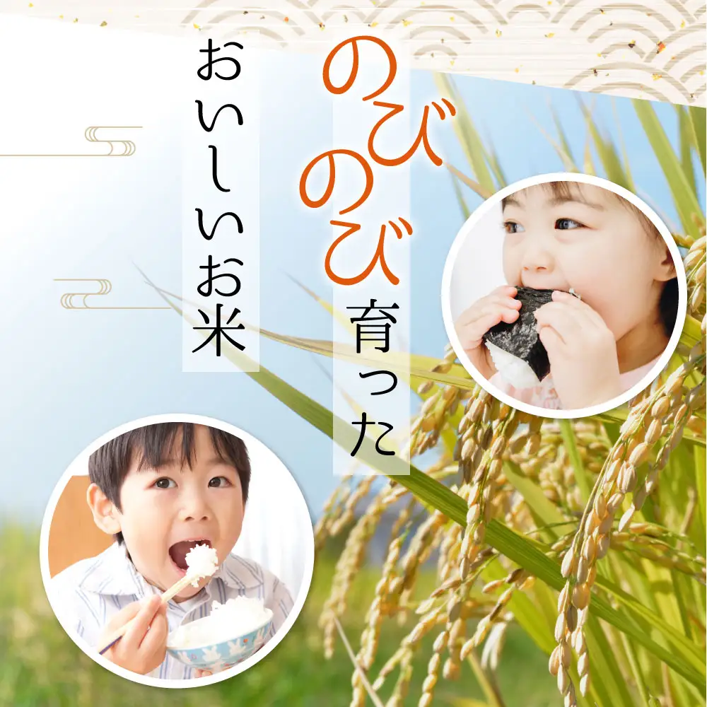 特別栽培米 ミルキークイーン 約27kg×1（白米）阿蘇アグロスタイル 精米 米 ごはん 人気 美味しい みるきーくいーん 甘味 もちもち なめらか 減農薬 湧水 熊本県 阿蘇市