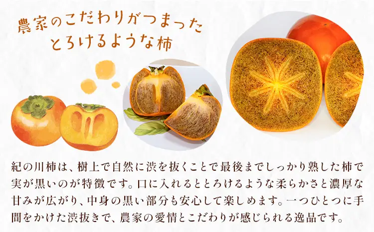 柿 秀品 紀の川柿 約4kg 