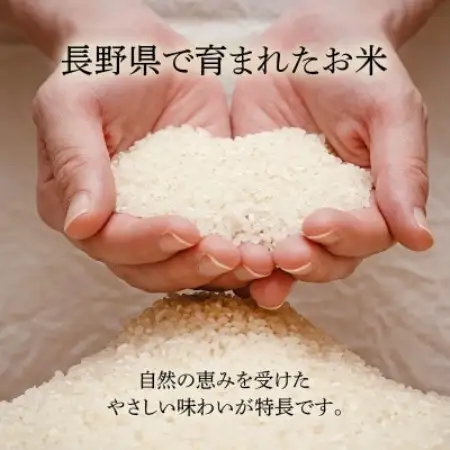 長野県産 越百黄金米(精米)5kg×2袋【1737901】
