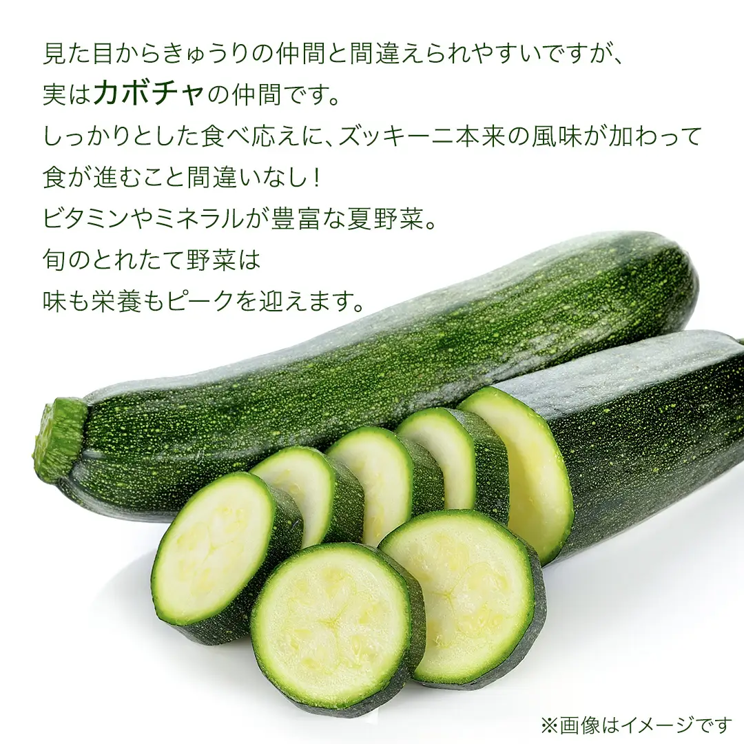 旬の採れたて 新鮮 ズッキーニ 2kg （約6～12本） [BT003tu]