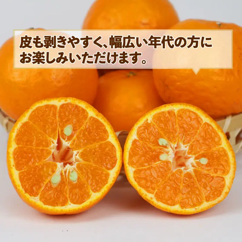 みかん 訳あり ポンカン 約 9kg スーパー山田屋 先行予約 ぽんかん 甘い 果物 くだもの フルーツ 柑橘 mikan 蜜柑 愛媛蜜柑 愛媛みかん わけあり サイズ 不揃い 産地直送 数量限定 国産 愛媛 宇和島 B016-198004