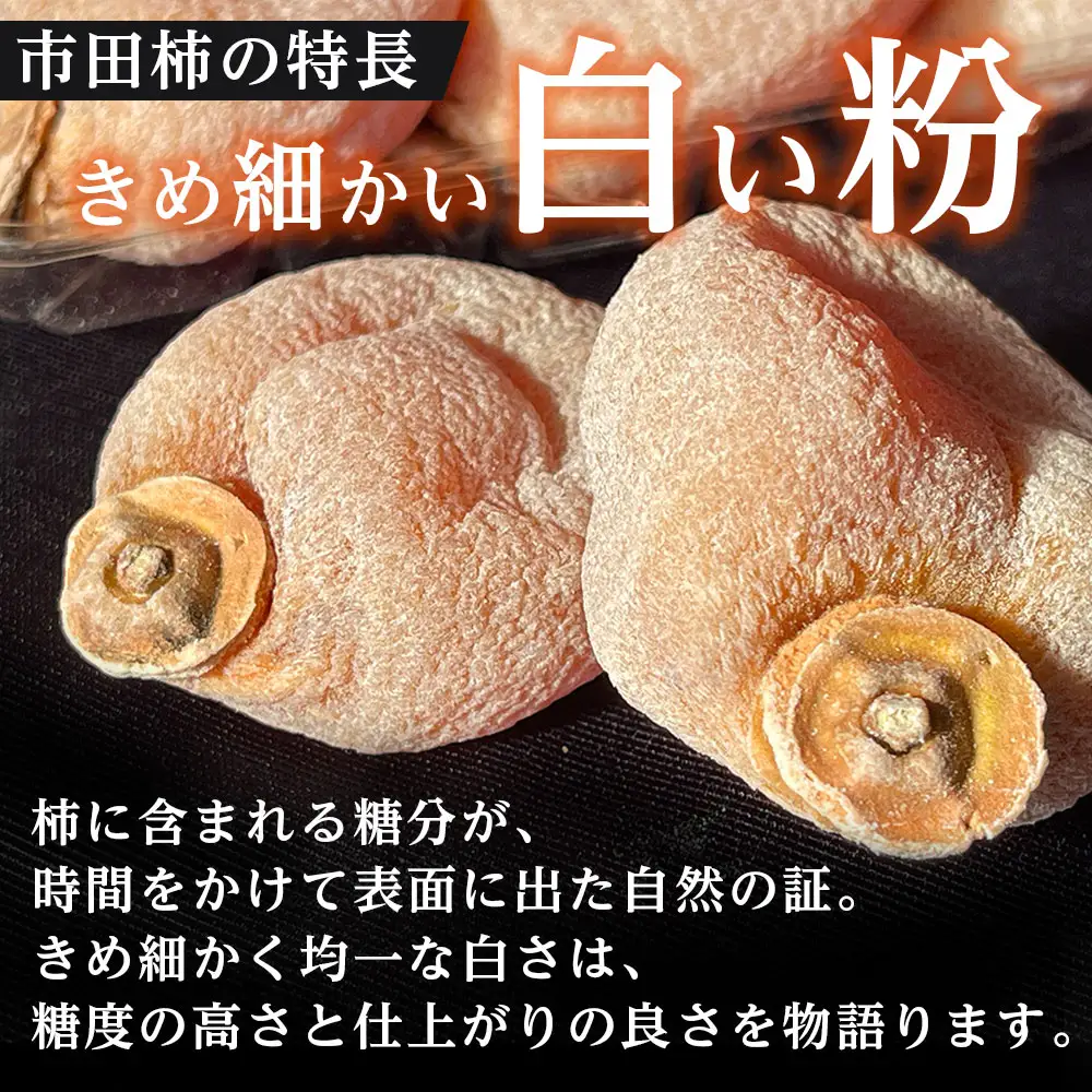 【市田柿専門店 金の柿】黒箱「特秀品」2Lサイズ20個入り×2＜2027年1月発送開始＞