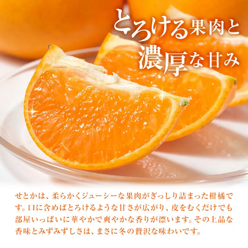 せとか 訳あり 5kg