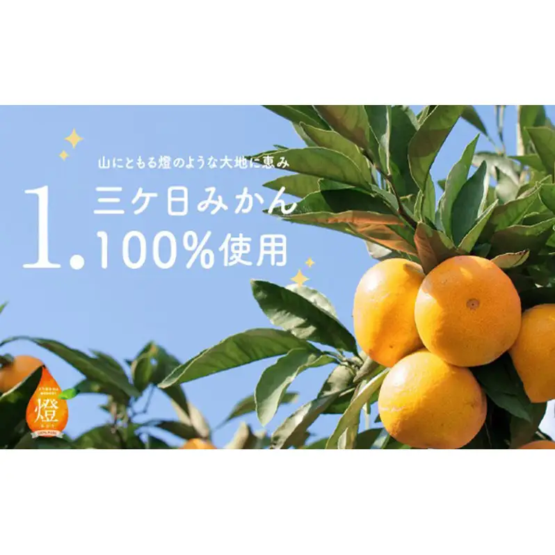 三ヶ日みかん生搾りジュース燈（あかり）【180ml×12本入】 みかん ジュース 濃厚 三ヶ日みかん青島 生搾り 100%ジュース 静岡 浜松市