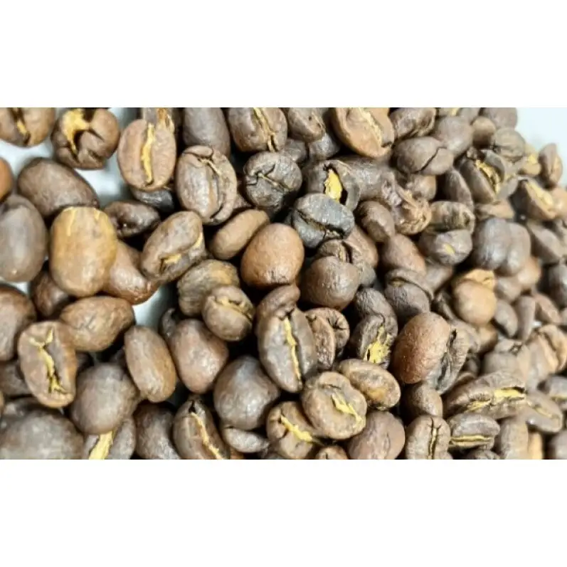 【厳選2種の6ヶ月定期便】芳醇なフルーティー飲み比べセット・自家焙煎コーヒー（豆）(グァテマラ221g、モカ285g) 珈琲