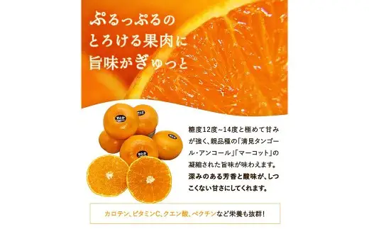 せとか 約2kg みかん ミカン 蜜柑 柑橘 柑橘系 柑橘類 くだもの 果物 フルーツ 果実 果汁 果肉 国産 愛媛県産 愛媛みかん 濃厚 爽やか 香り 【2027年2月下旬-4月下旬発送予定】 ( 1117 )