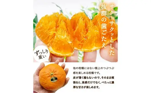 甘平 約2kg みかん ミカン 蜜柑 柑橘 柑橘系 柑橘類 くだもの 果物 フルーツ 果実 果汁 果肉 国産 愛媛県産 愛媛みかん かんぺい 果肉感 【2027年2月下旬-4月下旬発送予定】 ( 1118 )