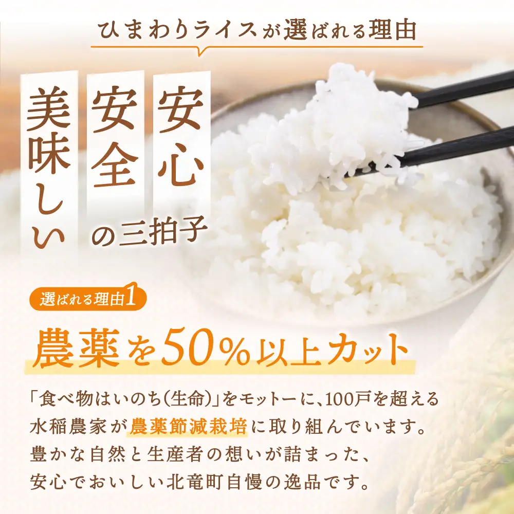  【令和8年産 新米 先行予約】 ななつぼし 5kg 北海道米 ※2026年10月中旬より順次発送予定 【uni400-nana-r5-R8】