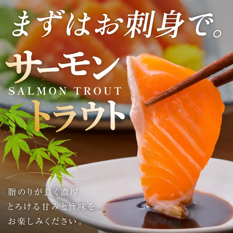 FIVE STAR ブランド 訳あり トラウト サーモン スライス 総重量 600g 200g×3p 