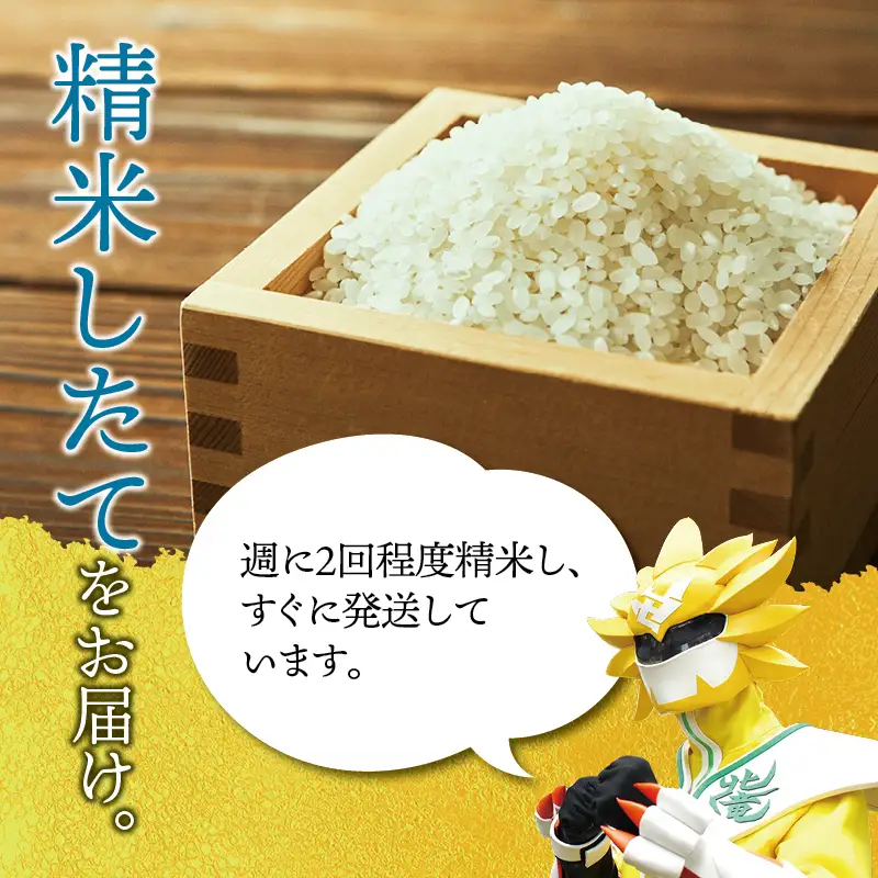  【令和8年産 新米 先行予約】きたくりん 5kg 北海道米 ※2026年10月中旬より順次発送予定 【uni400-kita-r5-R8】