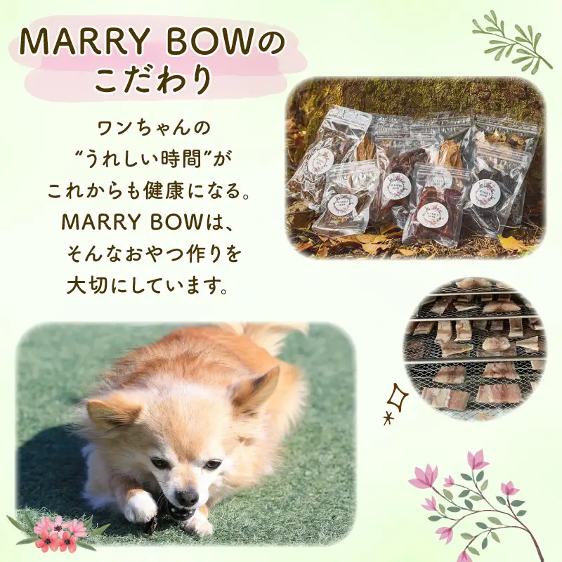 わんちゃん 用 鶏胸 ＆ 鶏ささみ ジャーキー セット 4袋 160g 無添加 国産 手作り 愛犬用 ペット 犬 猫 おやつ