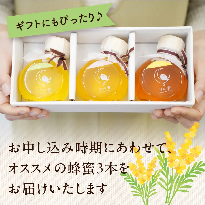 ぷくちゃん生はちみつ（ピュアハニー）150g×3個セット 004-025