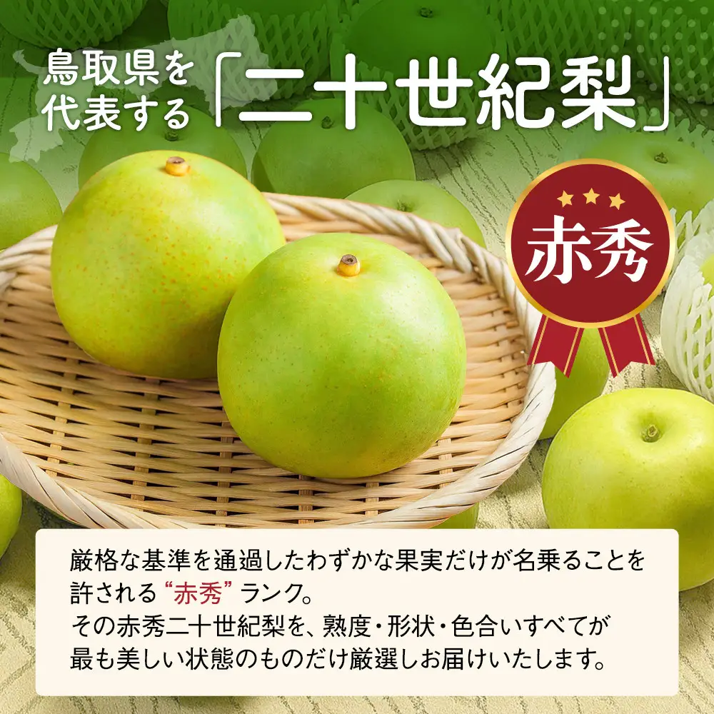 東商果樹園 二十世紀梨 (赤秀) 3kg【8月下旬以降お届け】