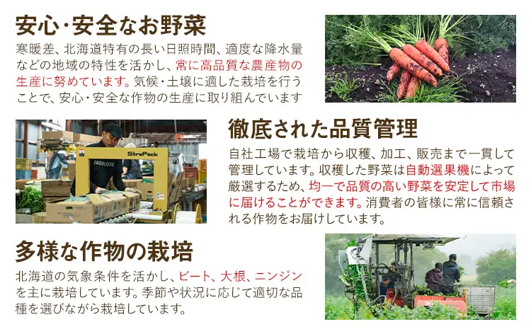 十勝 浦幌べにかなで 人参 訳あり 不揃い 約5kg 農事組合法人レギューム