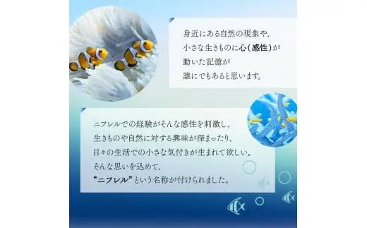 【3カ月ごとお届け】ニフレル入館券 大人1枚+こども1枚 全4回 