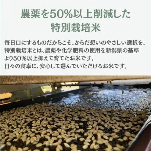 【先行予約】令和8年産 特別栽培米コシヒカリ 5kg新潟県田上町