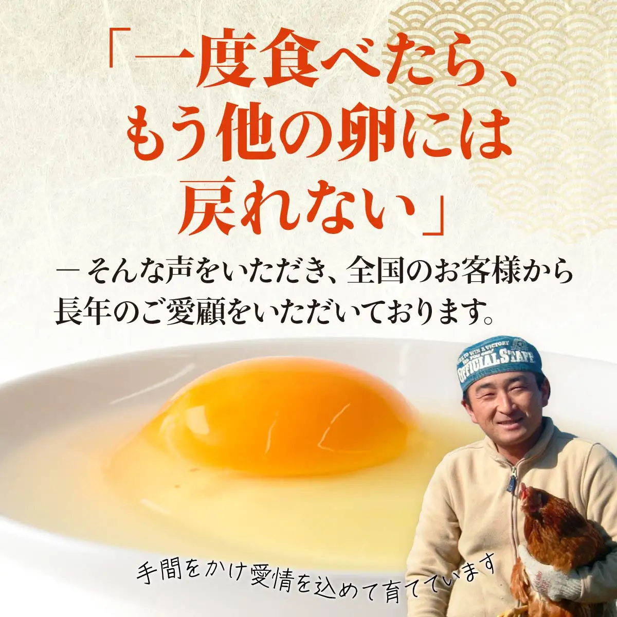 卵 朝取り 厳選卵 30個 割れ保証付き