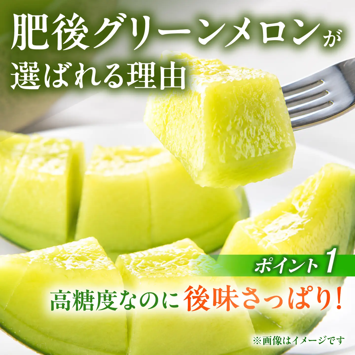 【先行予約】肥後グリーンメロン 1玉 計約2kg【合同会社 福福堂】[ZCN020]