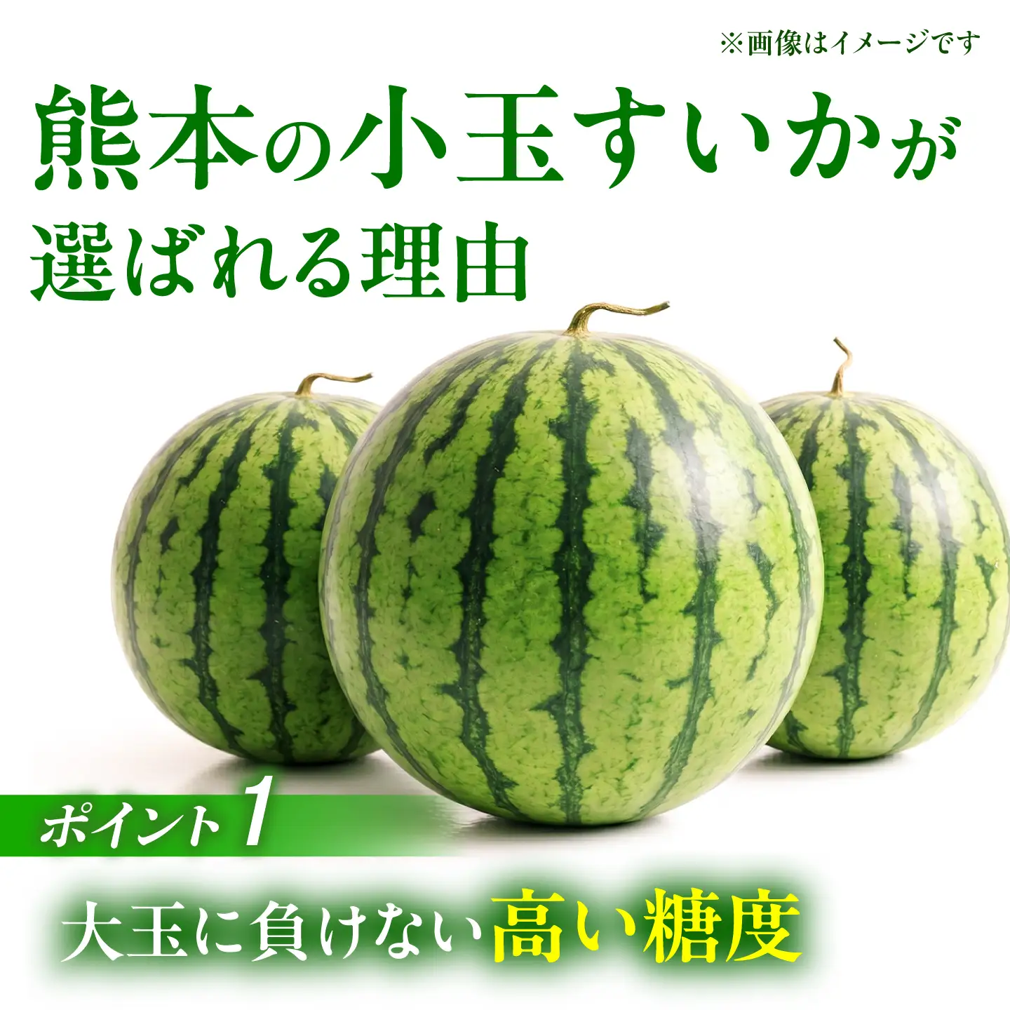 【先行予約】小玉 すいか 1玉 ひとりじめ 計2kg【合同会社 福福堂】[ZCN021]